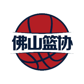 佛山队